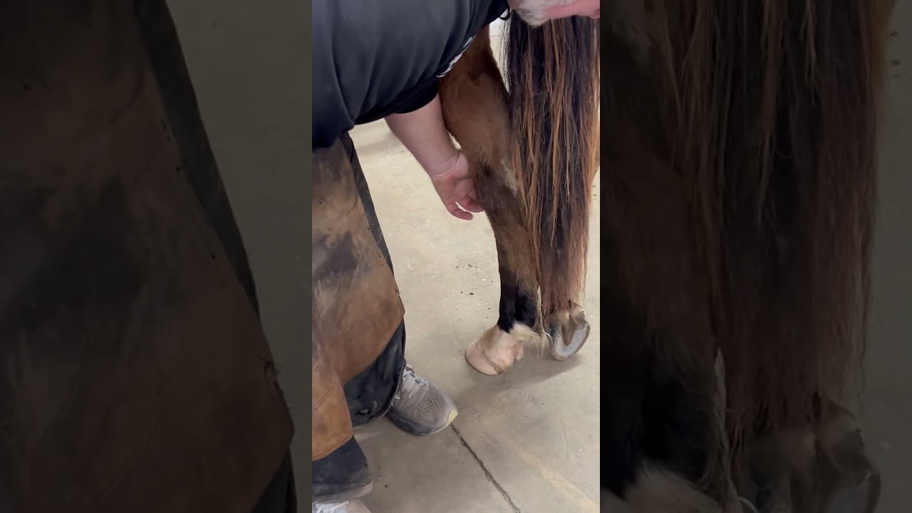 AFA Raceplater certification demonstration - Pat Broadus CJF (December 20, 2024)