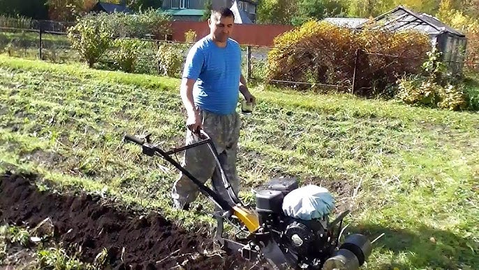 Shaffof shishiriladigan qogirchoq bilan porno jinsiy aloqa Ogil bilan jinsiy aloqa