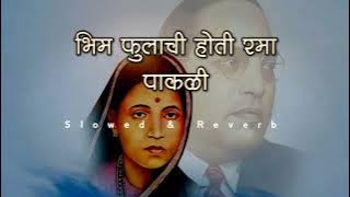 त्या भीम फुलाची होती रमा पाकळी Bhim Fulachi Hoti Rama Pakalli Jay Bhim Song 14April Special Song2023