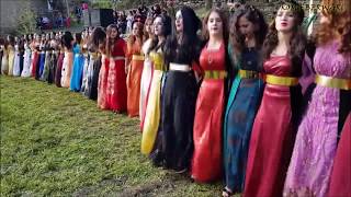 Курдские свадьбы Девушки курдской деревни