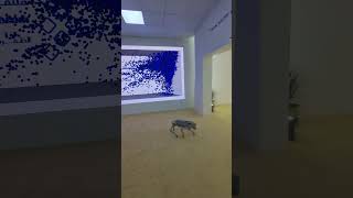Anamorphic Interactive Particle LED Screen | Al Dhafra Hospital Health Forum 2024