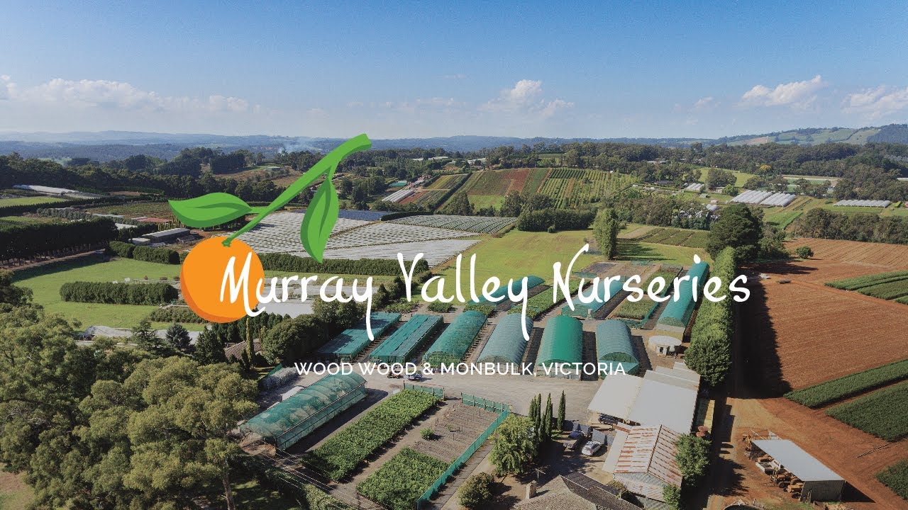 ‘Murray Valley Nurseries’, Wood Wood & Monbulk, Victoria YouTube