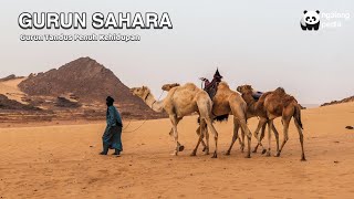 Gurun Sahara, Gurun Tandus yang Penuh Kehidupan