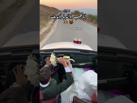 اعراس جزائرية 20 يا نجيب والديا و نديك شورتس Shorts رياض محرز المغرب