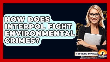 How Does Interpol Fight Environmental Crimes? - The Documentary Reel