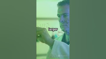 Wigner’s Friend Paradox: Multiple Realities?