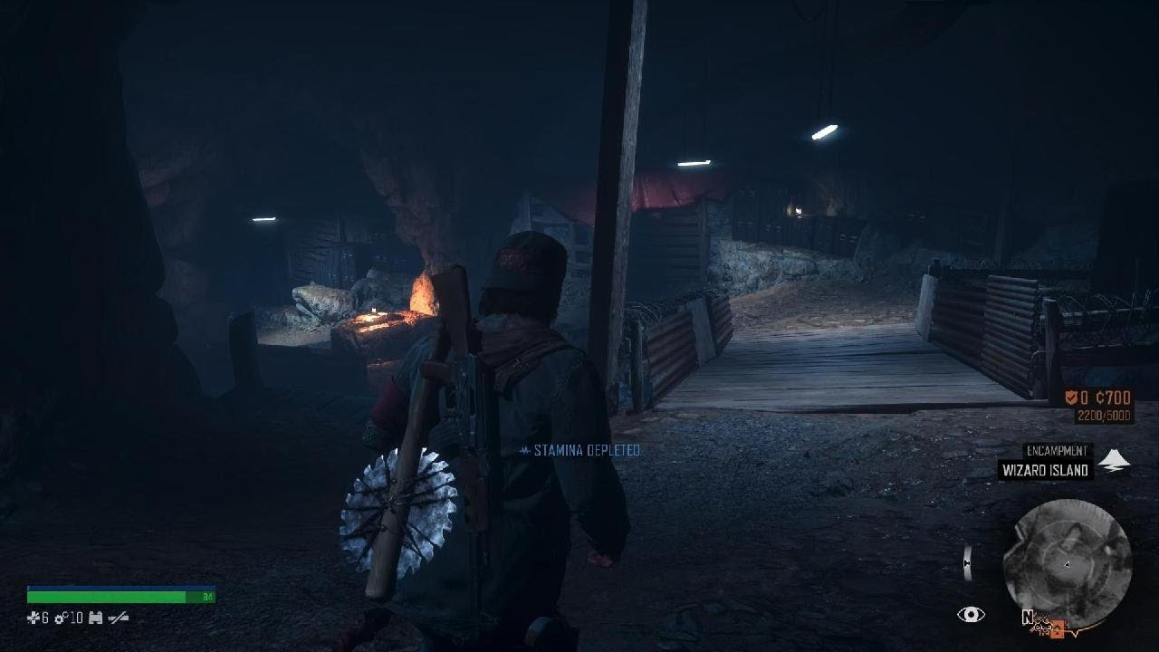 Days Gone: Remastered