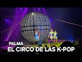 EL CIRCO DE LAS K POP PALMA DE MALLORCA CIRKUS ZIRKUS EL CIRCO DE LAS K POP PALMA DE MALLORCA CIRKUS ZIRKUS