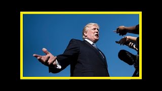 What is donald trump's iq?