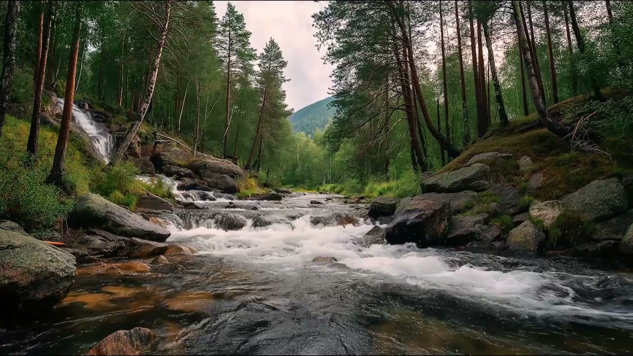 Deep Sleep Forest Stream