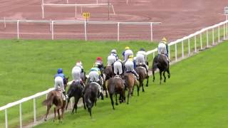 Vidéo de la course PMU PRIX DE NEWBURY