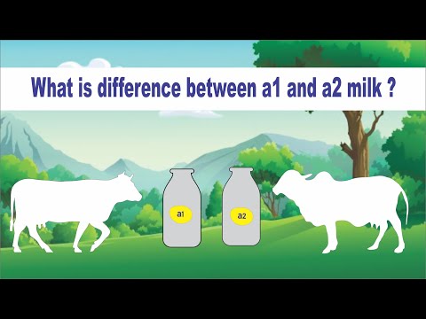 वीडियो: दूध प्रोटीन और मांस प्रोटीन में क्या अंतर है?