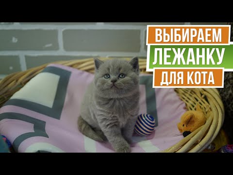 Как выбрать домик для кошки ✎ Лежанка для кота