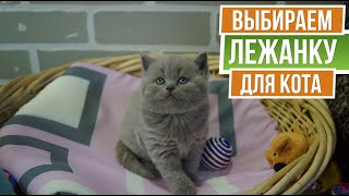 Как выбрать домик для кошки ✎ Лежанка для кота