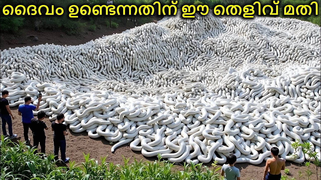 ദൈവം ഉണ്ടെന്നതിന് ഈ തെളിവ് മതി | Mysterious Places In The World | Malayalam Mystery