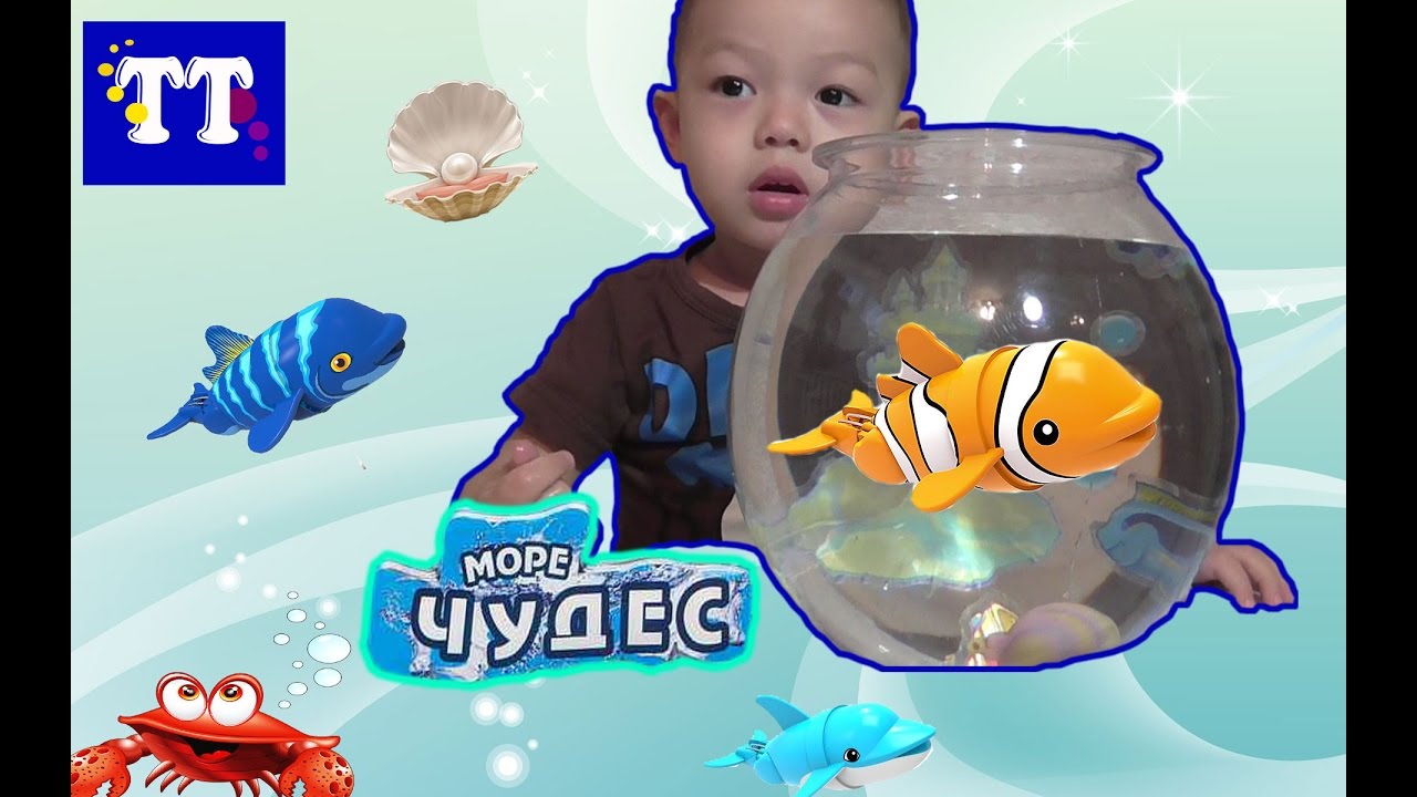 Море чудес Море чудес
