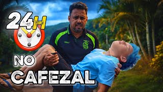 Arthuzinho ficou perdido em um cafezal e algo aconteceu!