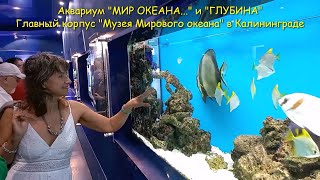 Аквариум &quot;МИР ОКЕАНА...&quot; и &quot;ГЛУБИНА&quot;. Главный корпус &quot;Музея Мирового океана&quot;. Калининград, ДЕНЬ 2.