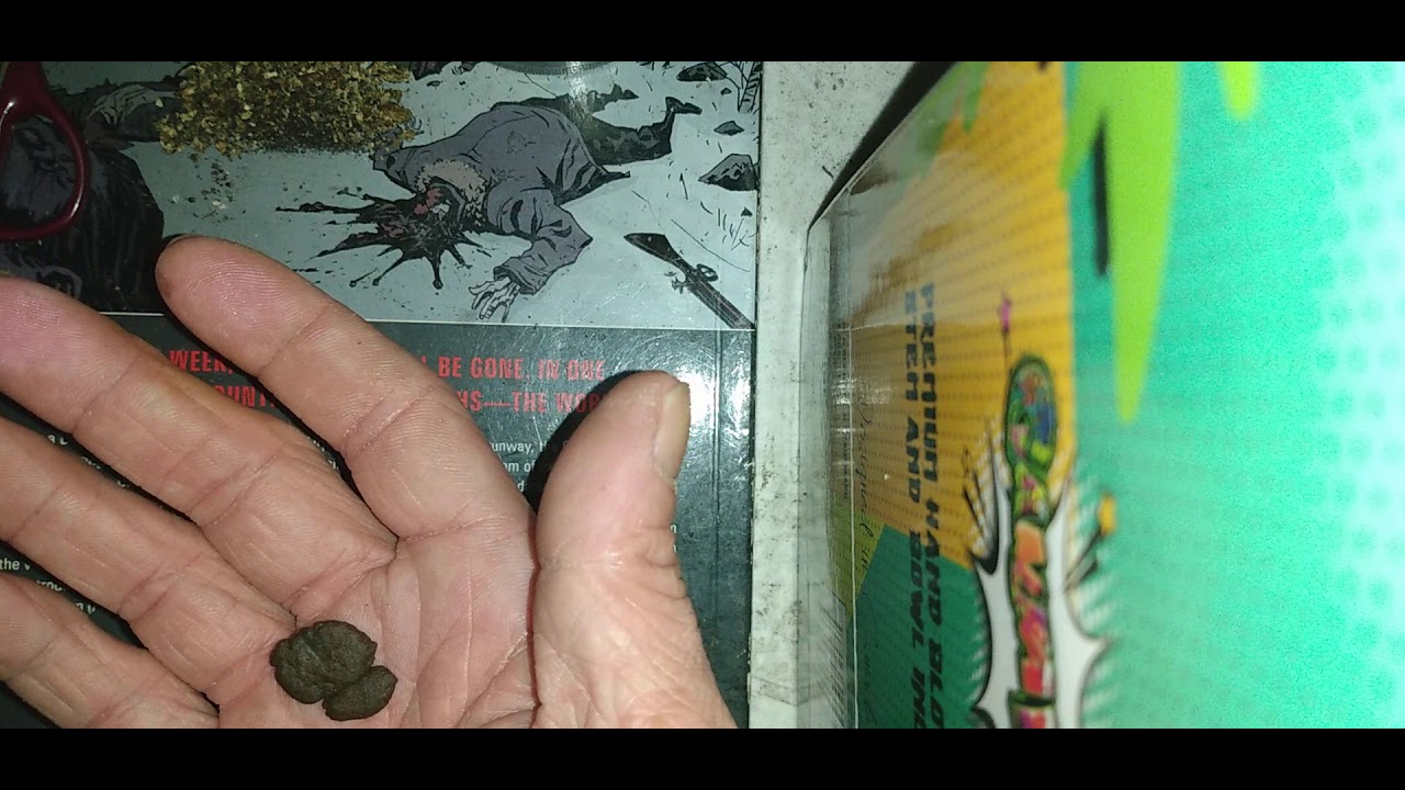 how to roll hash and weed joints