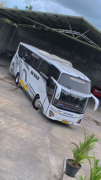 CINEMATIC BUS NEW MANJA VIDZGAPH TERBARU 2025 #fypシ #fyp #shorts