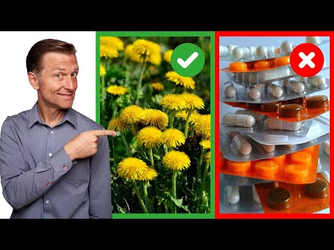 Видео: Одуванчик – лучший сорняк, который заменит вам лекарства🔥📢
