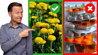 Одуванчик – лучший сорняк, который заменит вам лекарства