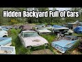 Hidden backyard full of classic cars