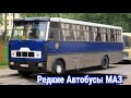 Необычные и малоизвестные модели автобусов МАЗ.