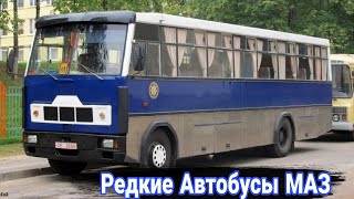 Необычные и малоизвестные модели автобусов МАЗ.