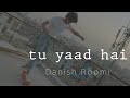 Tu yaad hai  danish roomi official music