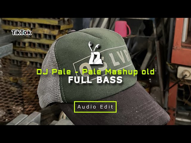 DJ Pale - Pale Mashup Old - Audio Edit class=