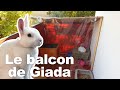 Amnagement dun balcon pour son lapin