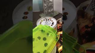 【参加型】アヒルを救出させろ