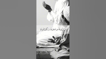 {سورة النور: الآية 35} بصوت القارئ الشيخ سعد الغامدي #سورة_النور #سعد_الغامدي #راحة_نفسية