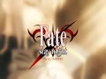 Fate / Stay Night [Fan Work] - Side Fate -