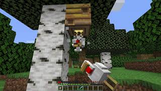 This Video May Confuse You