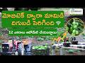 12-Acre Mango Farm with Smart Irrigation System | Farmer Success Story - Mr. Sudarshan Reddy