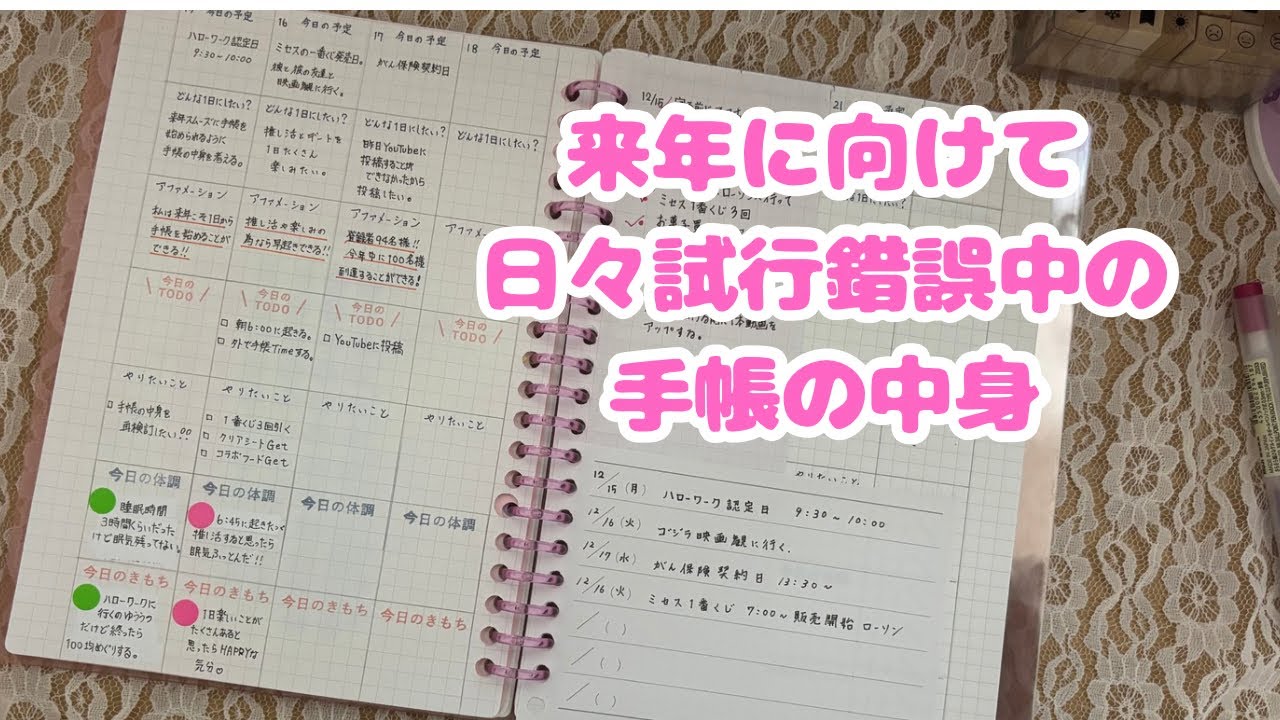 《ルーズリーフ手帳》来年に向けて試行錯誤中の手帳の中身紹介❤️