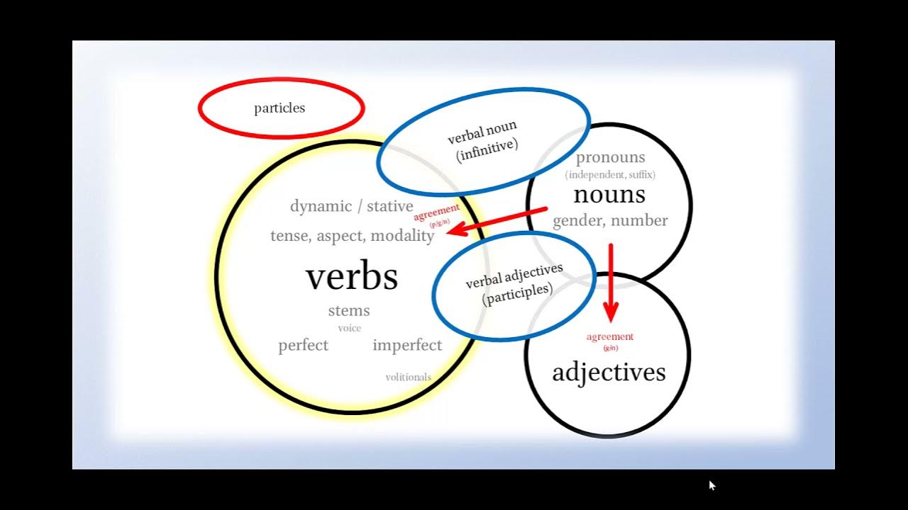 Lesson 2 Parts of Speech YouTube