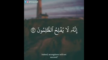يوسف ابكر - سورة يوسف || وراودته التي هو في بيتها عن نفسه وغلقت الأبواب