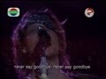 Bon Jovi - Never Say Goodbye (Jakarta 1995)