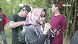 Download Lagu DOMBA KURING VOC.KELVI | PUTRA NAFITA CAYA | DS.KERTAJAYA BLOK SABRANGWETAN MP3