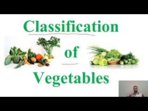 Vegetable Classification/सब्जियों का वर्गीकरण- III