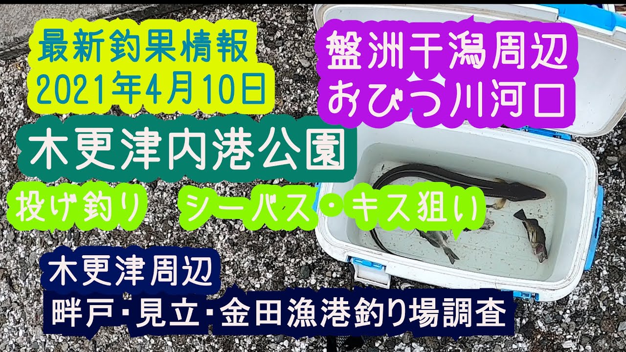 最新釣果情報 21年4月10日 木更津内港公園で投げ釣り ぶっこみ釣り 盤洲干潟周辺 小櫃川河口周辺 の釣り場調査 畔戸 見立 金田漁港調査してきた 大型アナゴ ウナギが釣れてた Youtube