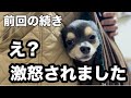 【恐怖】前回天くんが威嚇した女性に遭遇しました
