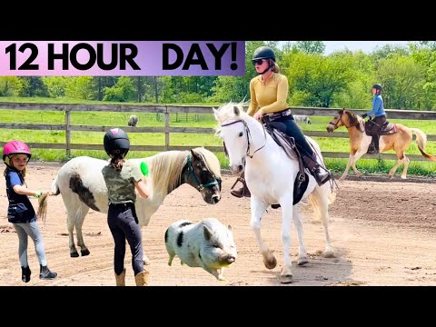 Video: Uzstādītās spēles zirgu izjādes nodarbībās jautrībai un mācībām