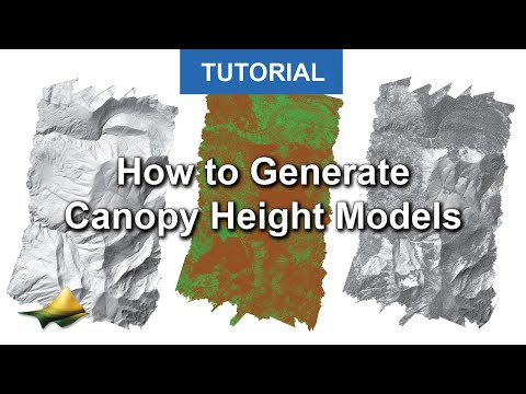 How to Generate Canopy Height Models On-Demand on OpenTopography