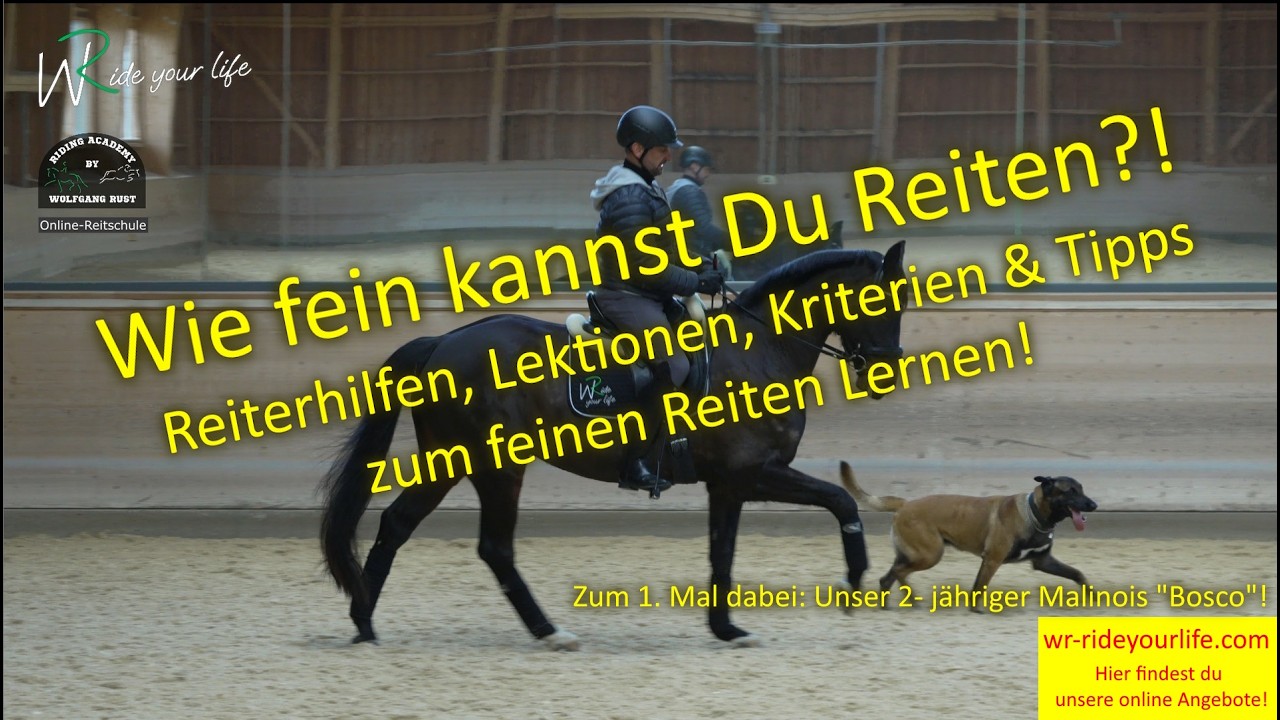 F205 Die unsichtbaren Reiterhilfen des Reiters am Pferd beim Reiten verstehen und fein reiten lernen