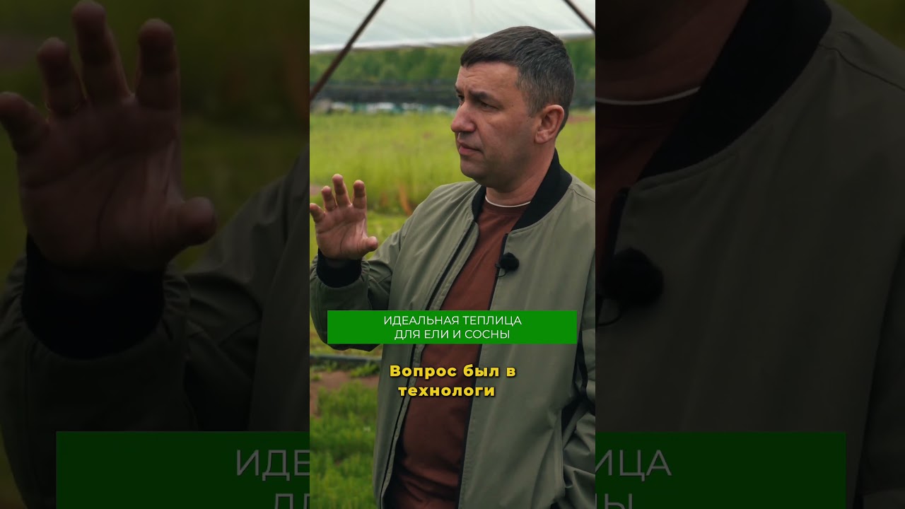 Как построить теплицу для саженцев? 