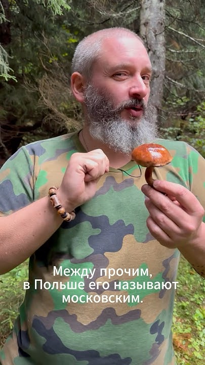 Самый крупный моховик Евразии - YouTube